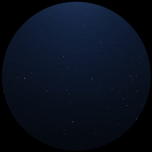 vozol web 1