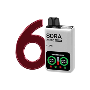 6 3
